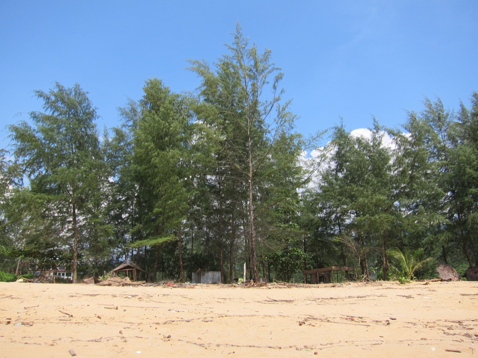 Thai Bar September 2014