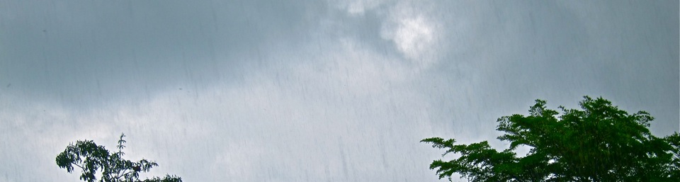 Mai '17 - regelmäßige Regenfälle noch vor Monsunwechsel